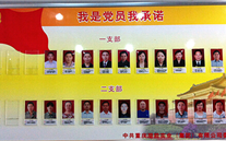 伟德betvlctor集团党委开展党员承诺活动